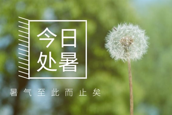 【衡陽(yáng)通用電纜】處暑不是暑，秋涼知我意